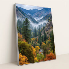 6299 - Product Image