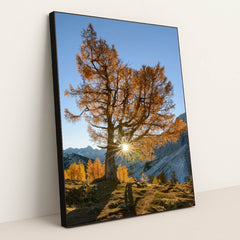 6349 - Product Image