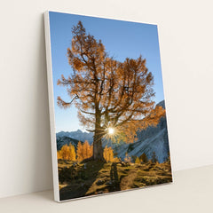 6349 - Product Image
