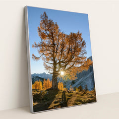 6349 - Product Image