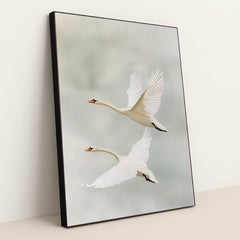 6379 - Product Image