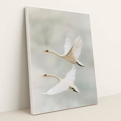 6379 - Product Image