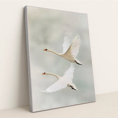 6379 - Product Image