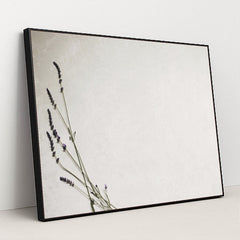 7090491719715 - Product Image