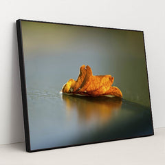 7090491981859 - Product Image