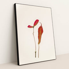 7090508267555 - Product Image