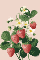 Blossom and Bloom - Product Image - 1