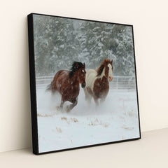 Hooves of the North - Product Image - 2