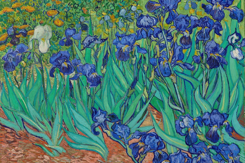Vincent Van Gogh - Irises (1889)