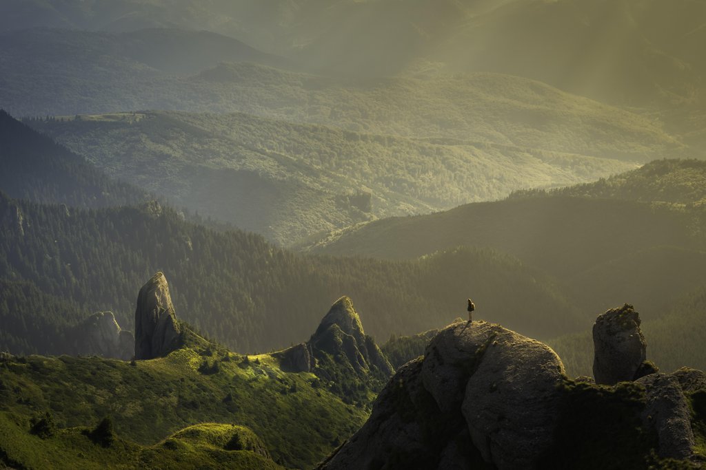 David Marcu - Alone in the unspoilt wilderness