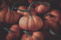 Tim Mossholder - A pile of fresh pumpkins showcasing vibrant colors and textures, perfect for autumn-themed projects.