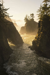 Stephen Leonardi - Breathtaking view of rocky coastline with mist and trees illuminated by sunset light.
