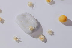 Ron Lach - A serene minimalist arrangement featuring a stone and delicate flowers on a white background.