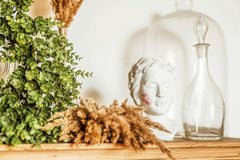 Helena Jankovičová Kováčová - A serene still life featuring a bust with lipstick traces, boxwood, dried grass, and a glass carafe.