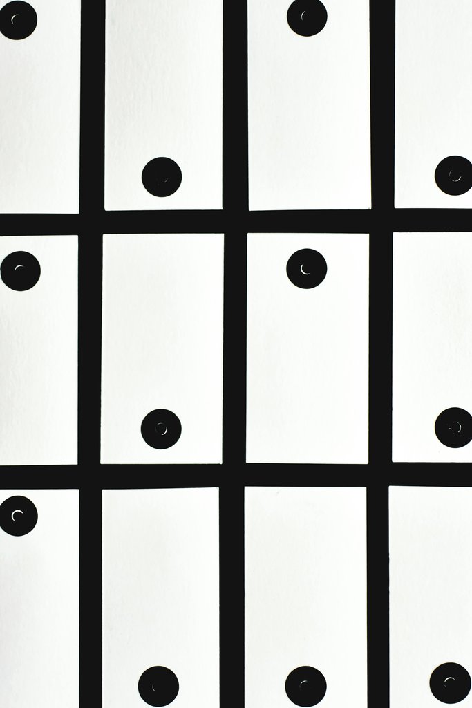 Eva Bronzini - Abstract black and white grid pattern creates a striking visual design.