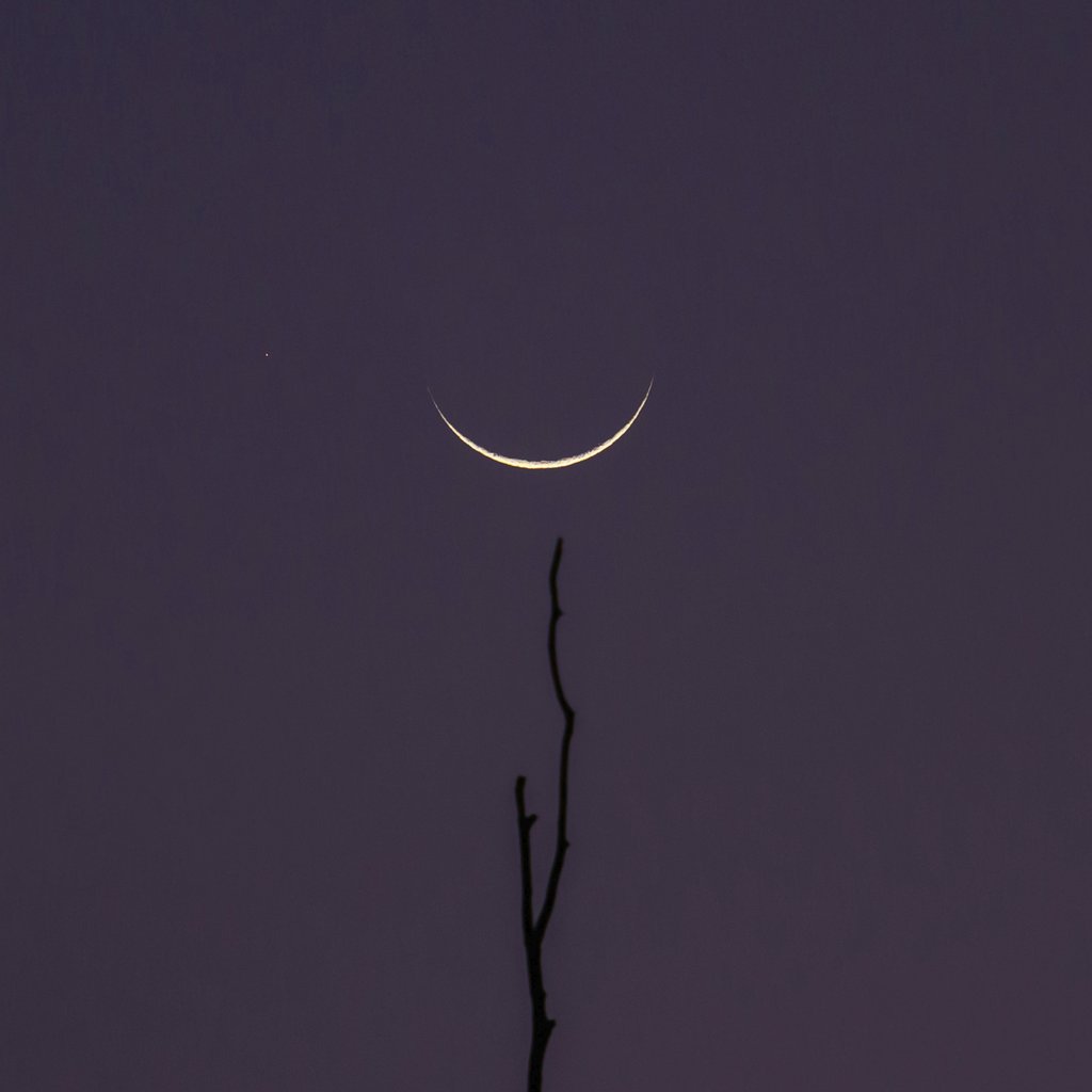 Dennis Ariel - Crescent moon and star against a purple sky in São Pedro de Alcântara, SC, Brazil.