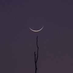 Dennis Ariel - Crescent moon and star against a purple sky in São Pedro de Alcântara, SC, Brazil.