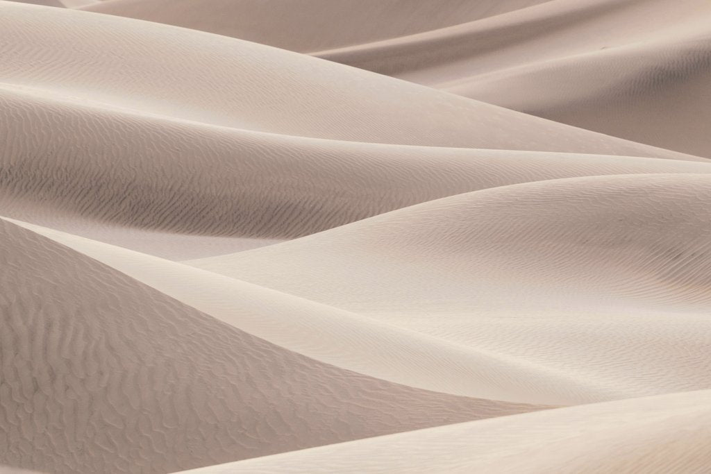 Zetong Li - Gently rolling sand dunes create a beautiful desert landscape under clear skies.