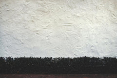 Tim Mossholder - A textured cream wall with green bushes at the base, providing a natural contrast.