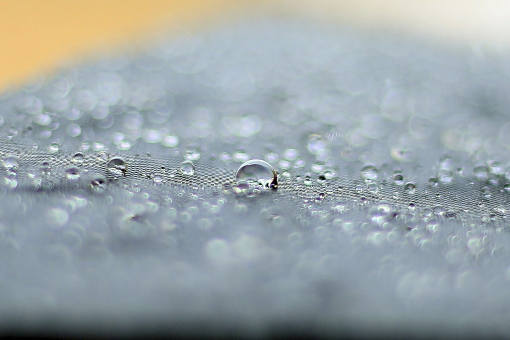 Sridhar Rajini - Close-up of dew droplets on a textured surface, glistening in natural light.