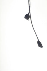 Eva Bronzini - High-key minimalist silhouette of plant stems against a white background.