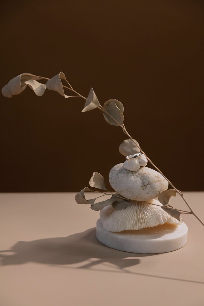 cottonbro studio - Artistic arrangement of stones and dry branch against a warm background, creating a minimalist composition.