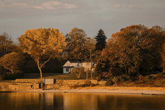 David Kanigan - Tranquil autumn scene at Cove Island Park with vibrant fall colors reflecting on the water.