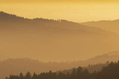 Zetong Li - Tranquil sunrise over mist-covered mountains, captured in warm golden hues.