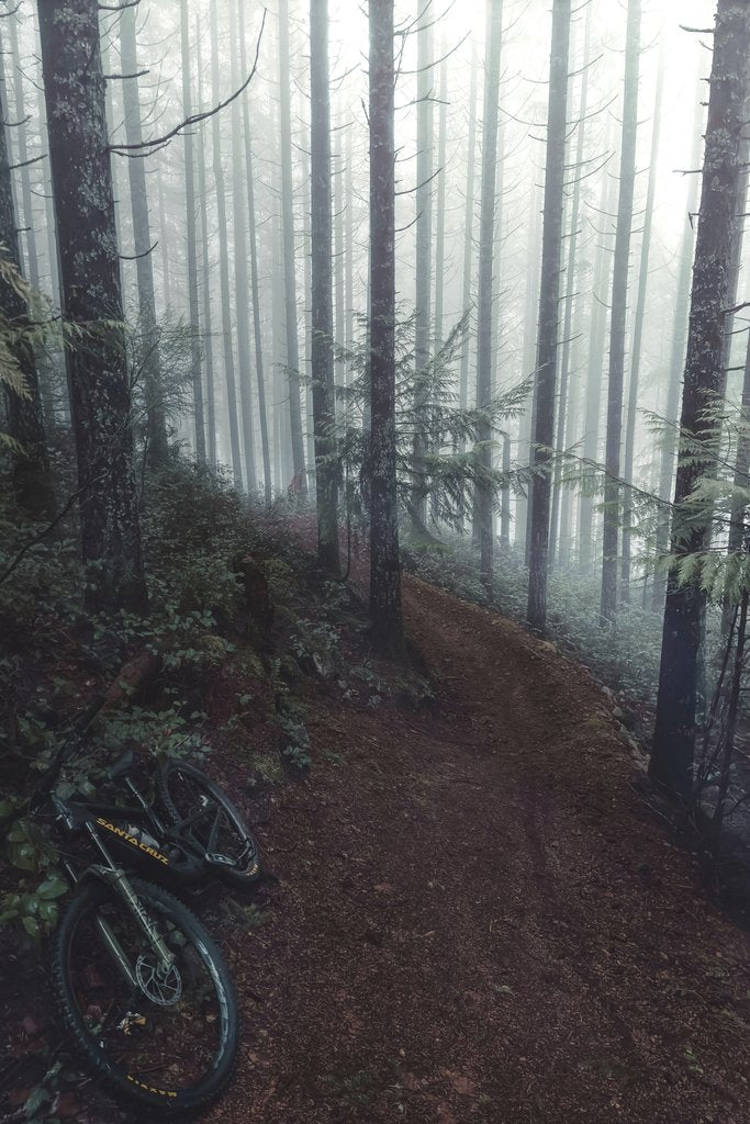 Rian Plante - Mountain bike on a foggy forest trail in British Columbia, Canada. Perfect for outdoor adventure enthusiasts.