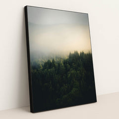 A foggy forest with trees in the foreground by Tobias Reich - Black Frame Stretchiez