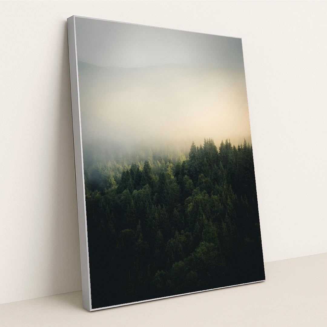 A foggy forest with trees in the foreground by Tobias Reich - Silver Frame Stretchiez