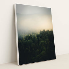 A foggy forest with trees in the foreground by Tobias Reich - White Frame Stretchiez