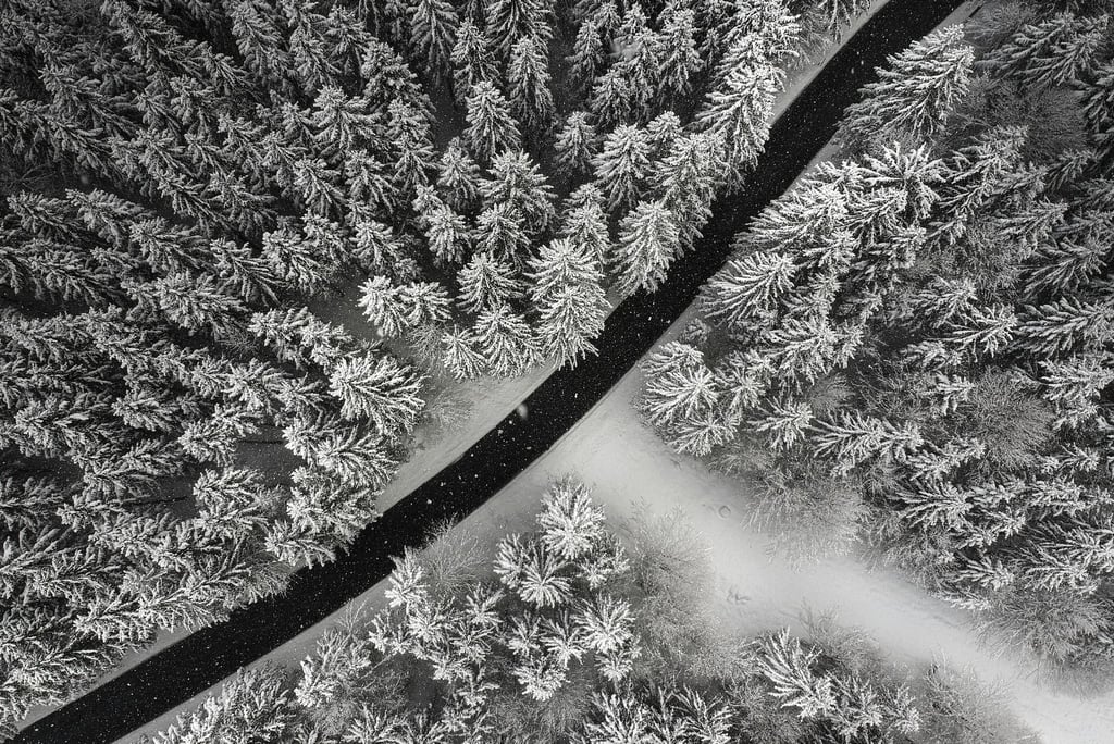 A Line Drawn in Winter by Michael Hacker