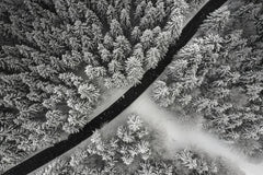 A Line Drawn in Winter by Michael Hacker