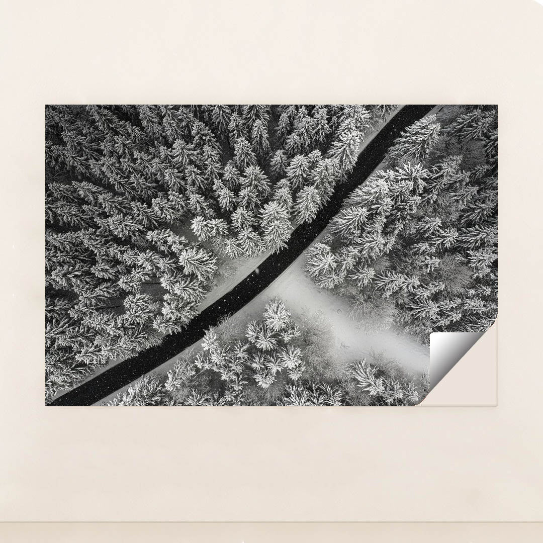 A Line Drawn in Winter by Michael Hacker - Peeliez