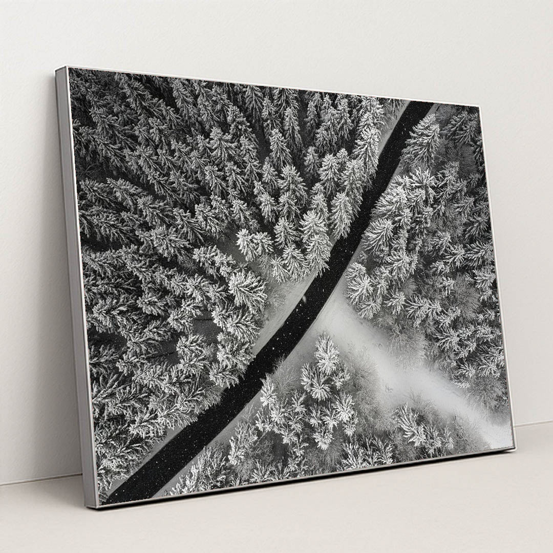 A Line Drawn in Winter by Michael Hacker - Silver Frame Stretchiez