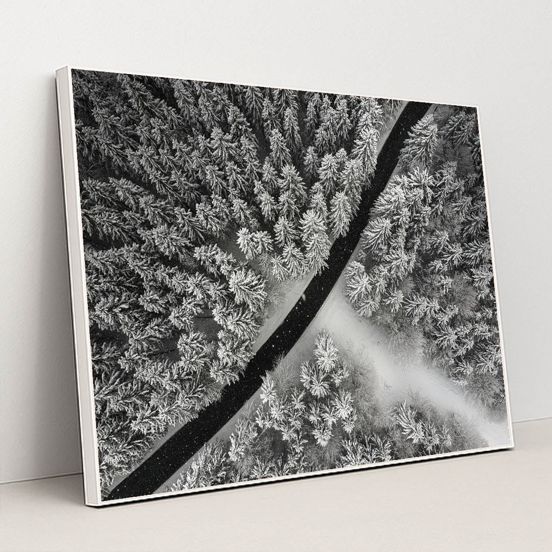 A Line Drawn in Winter by Michael Hacker - White Frame Stretchiez