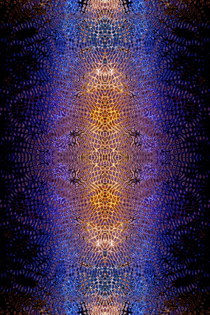 Merlin Lightpainting - A dynamic and colorful digital artwork featuring glowing geometric shapes and textures.