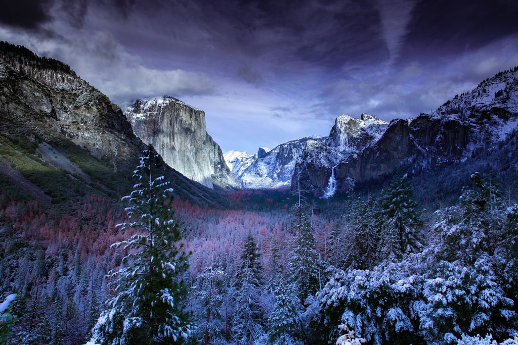 After the First Snowfall by jms