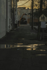 Connor McManus - Low-lit urban alleyway with reflective puddles and silhouette of trees at twilight.