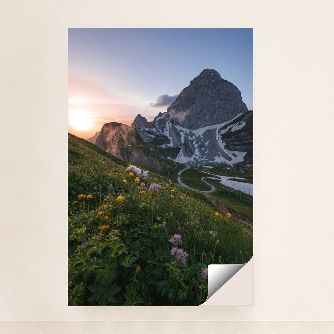 Alpine Meadow at Sunrise by Ales Krivec - Peeliez