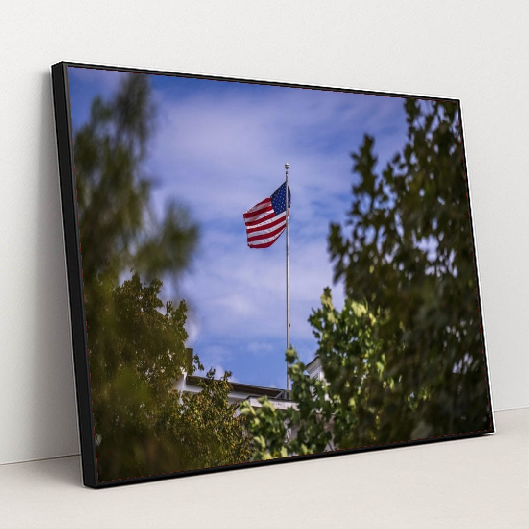 7090338693155 - Product Image