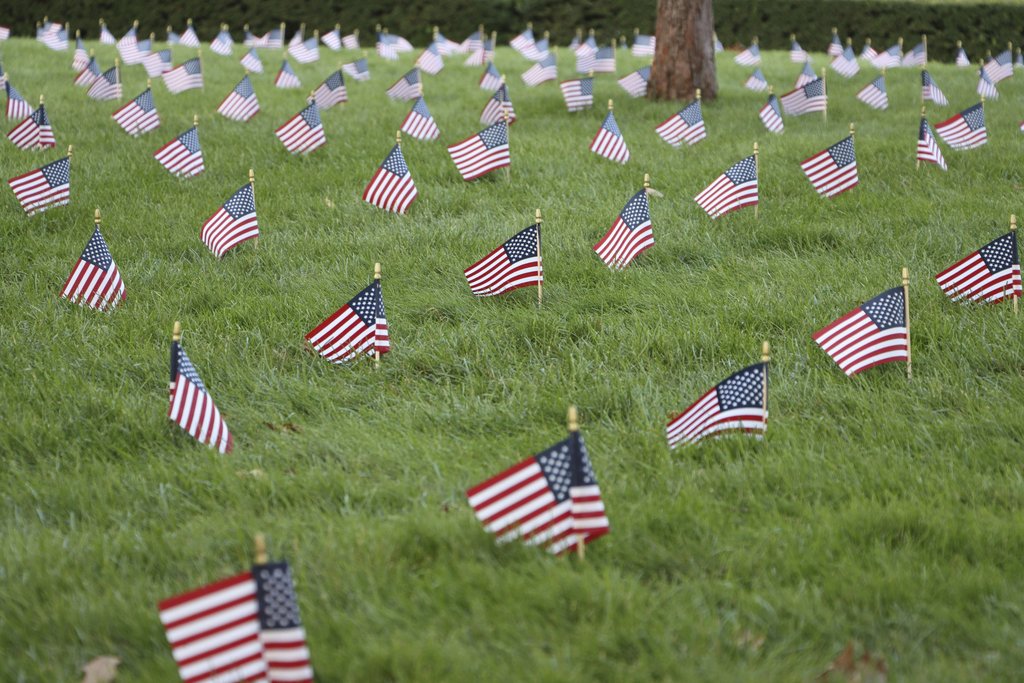 Scott Platt - Rows of American flags on a green lawn, symbolizing patriotism and Memorial Day remembrance.