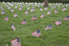Scott Platt - Rows of American flags on a green lawn, symbolizing patriotism and Memorial Day remembrance.