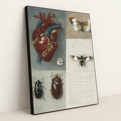 6427 - Product Image