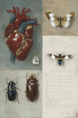 6427 - Product Image