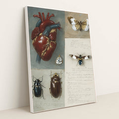 6427 - Product Image