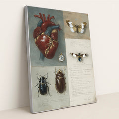 Anatomy of Emotion by Seven Akins - Silver Frame Stretchiez