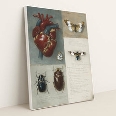 Anatomy of Emotion by Seven Akins - White Frame Stretchiez