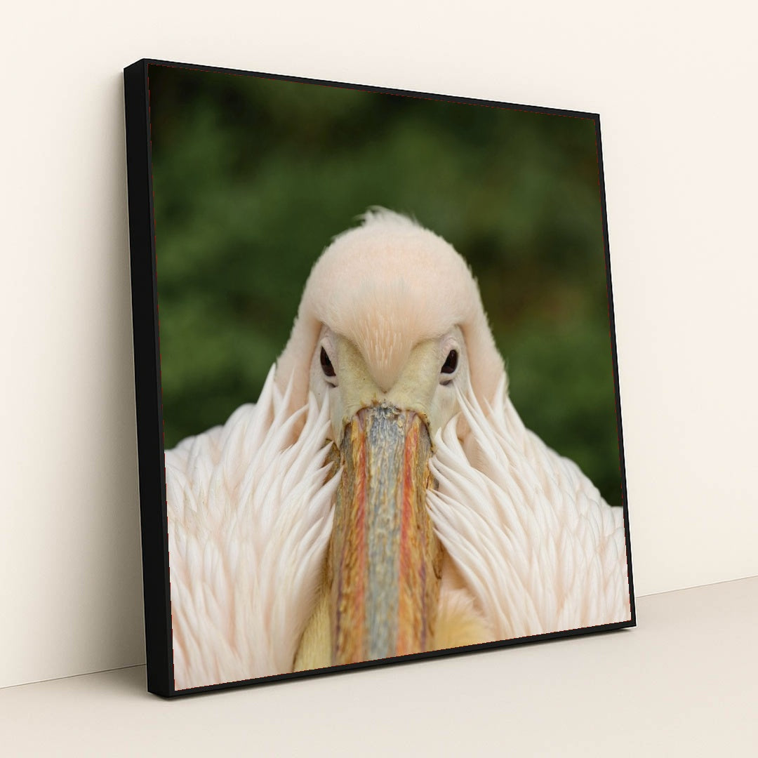 7090329518115 - Product Image